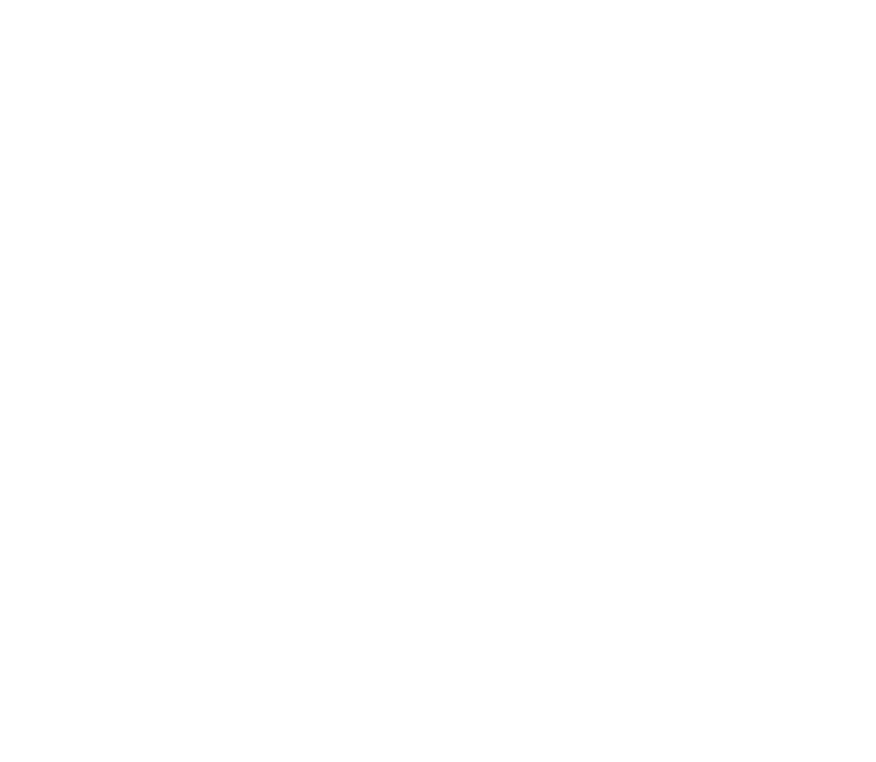 Dv tech